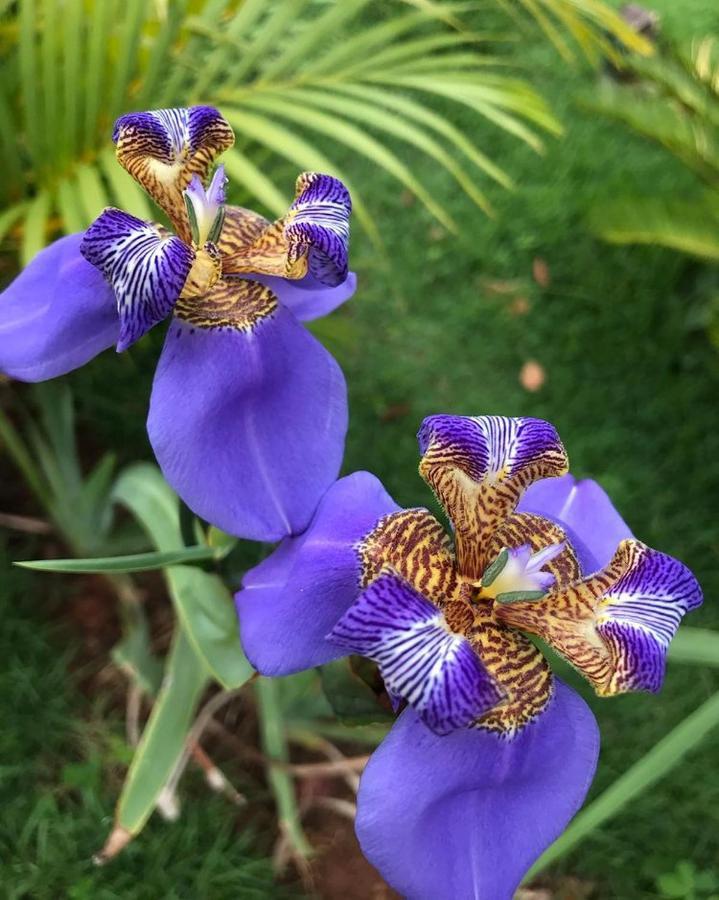 Serra do Cipo National Park 齐波之巅旅馆酒店 外观 照片